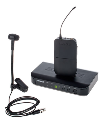 Instrument Wireless System (Analog System) 863-865 MHz