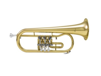 DIMAVERY FH-310D Bb Flugelhorn rotary val