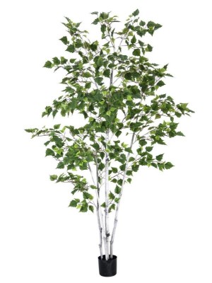 EUROPALMS Birch Tree, artificial plant, 210cm