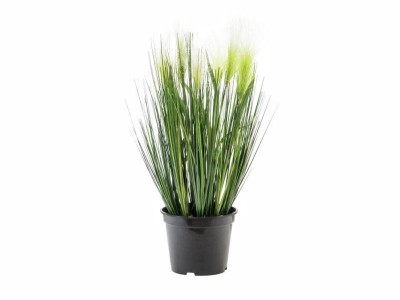 EUROPALMS Feather grass, artificial, white, 60cm