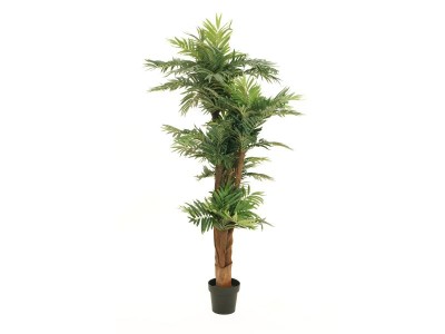 EUROPALMS Areca palm, artificial plant, 170cm