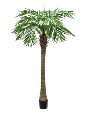 EUROPALMS Phoenix palm tree luxor, artificial plant, 240cm