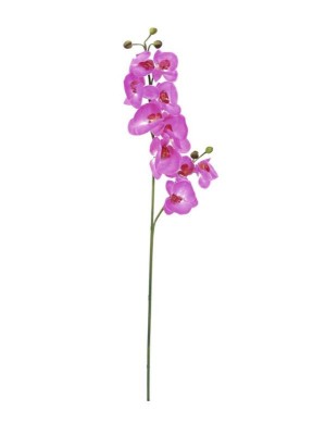 EUROPALMS Orchid branch, artificial, purple, 100cm