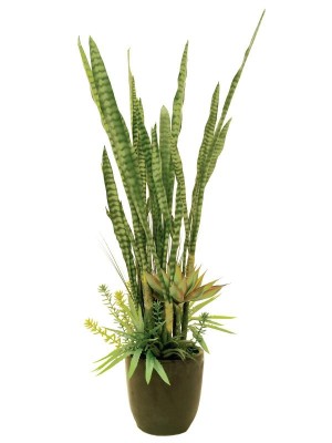 EUROPALMS Succulent-Mix, artificial plant, 190cm