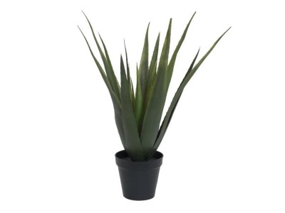 EUROPALMS Aloe vera plant, artificial plant, 60cm