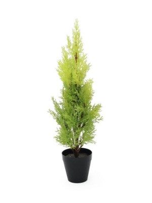 EUROPALMS Cypress, Leyland, artificial plant, 60cm